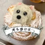 犬も歩けば・・・。